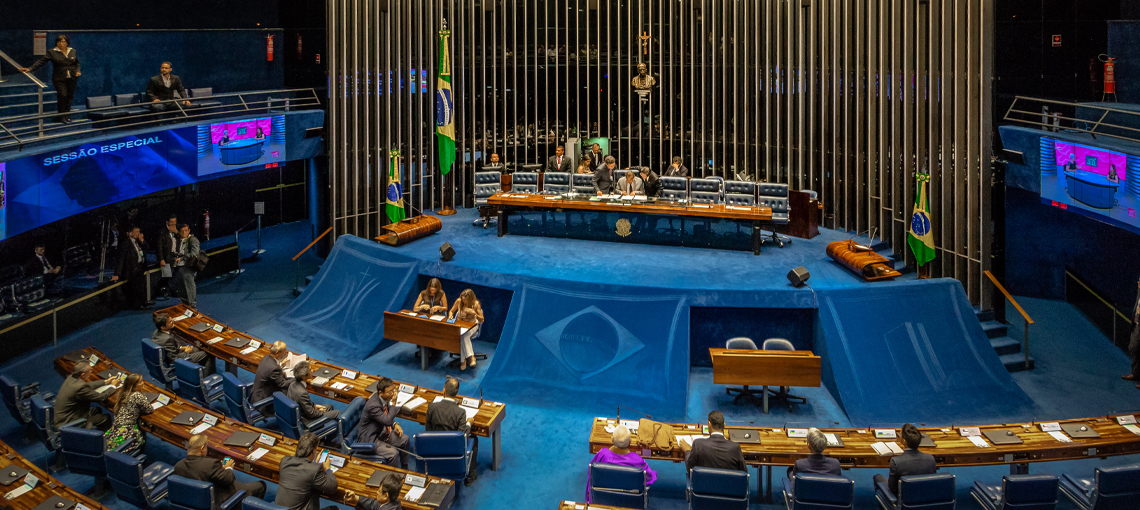 imagem-plenario Para Fundação Abrinq, projeto de lei que regulamenta doações direcionadas é questão de urgência