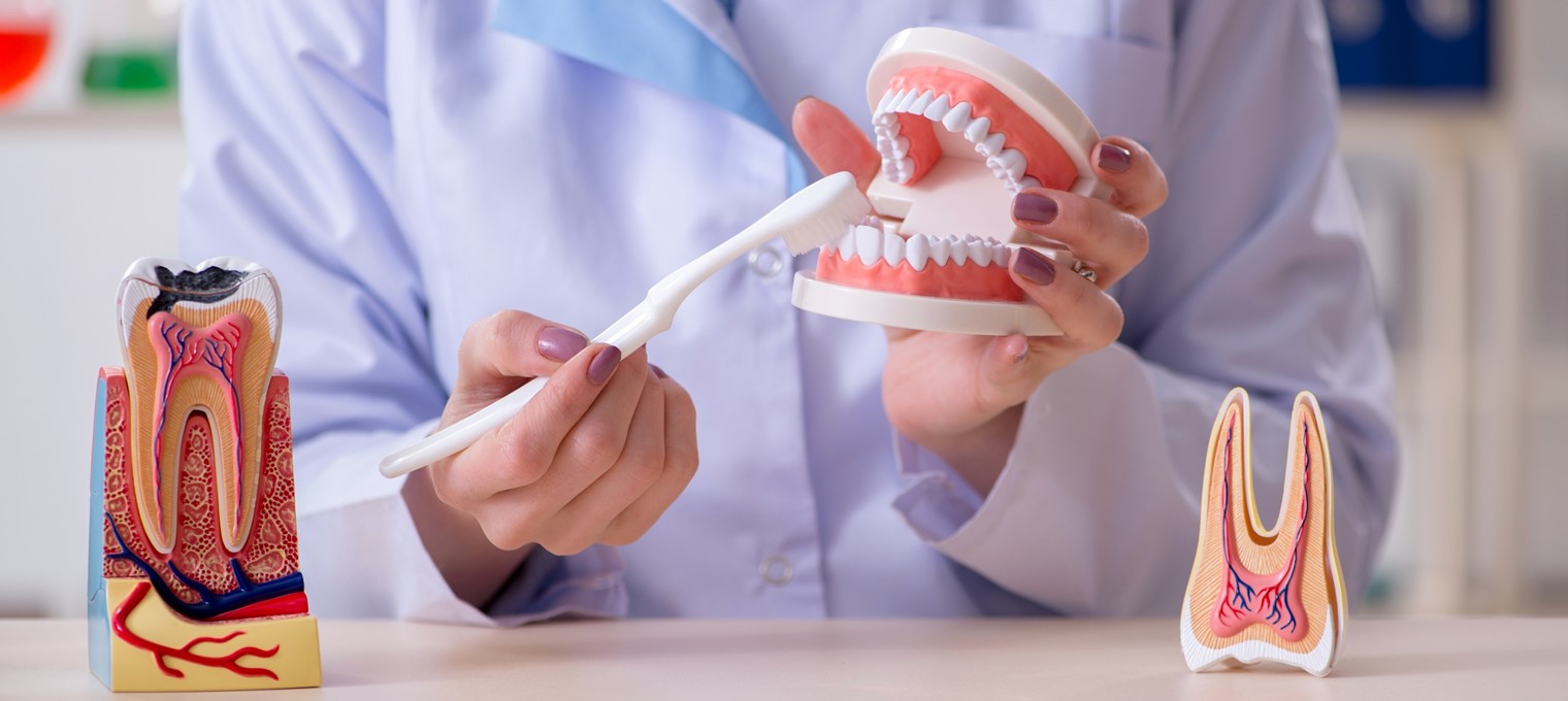 noticia-encontro-pas Fundação Abrinq realiza encontro sobre saúde bucal com organizações da sociedade civil