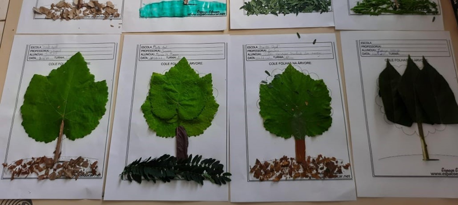 Projeto A Arvore Fundação Abrinq desenvolve atividades nos biomas do Cerrado e Pantanal em 2023