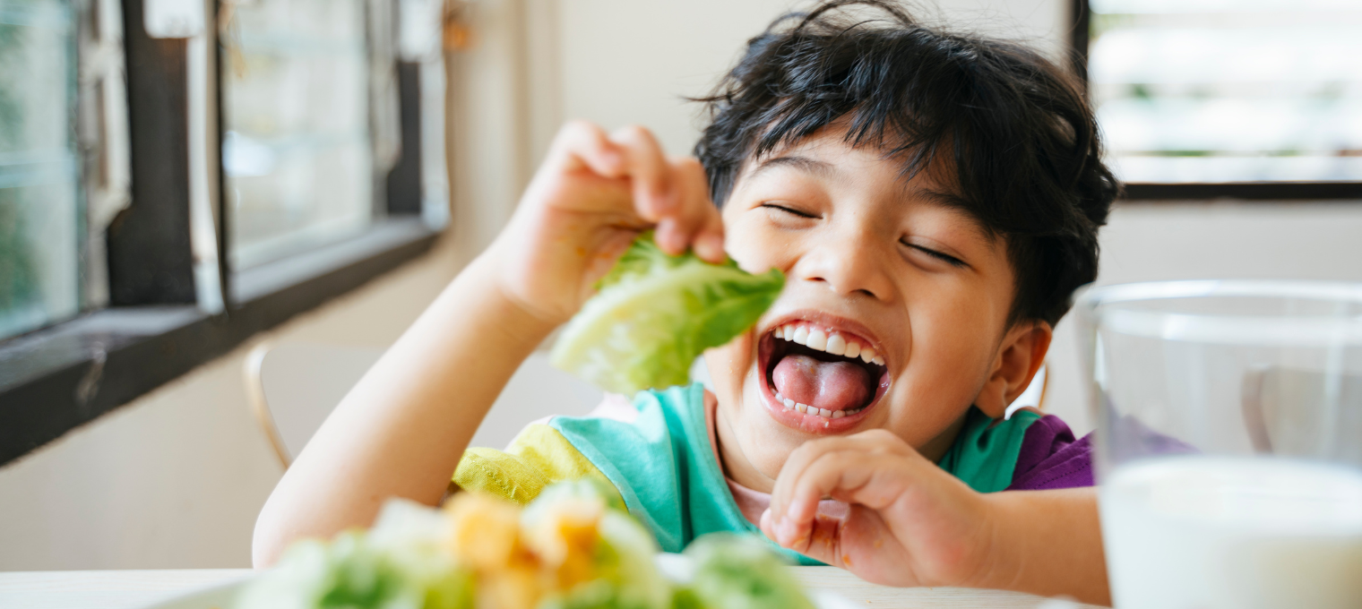 Alimentação adequada